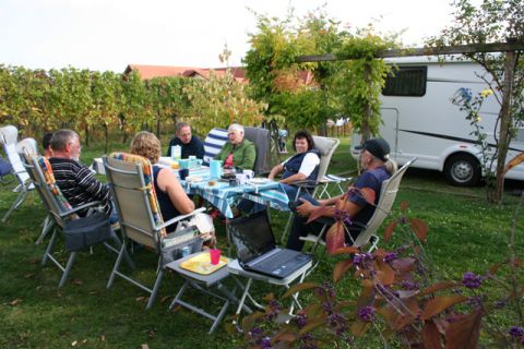 Auf dem Stellplatz am Weingut Schreieck in St Martin