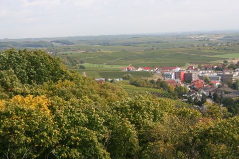 7.21 Nach 156 Treppenstufen hat hat man solch eine tolle Aussicht..JPG