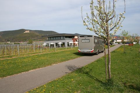 Am Weingut Isler in Neustadt an der Weinstraße, im Hintergrund das Hambacher Schloss, am 16 April 2014.jpg